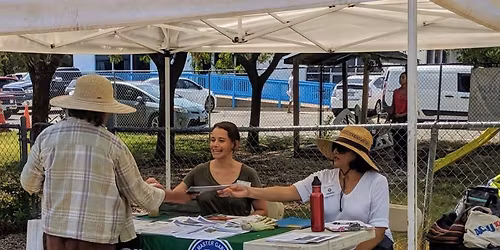 FREE! Plant Clinic & Kids' Activity at Sunset Valley SFC Farmers' Market