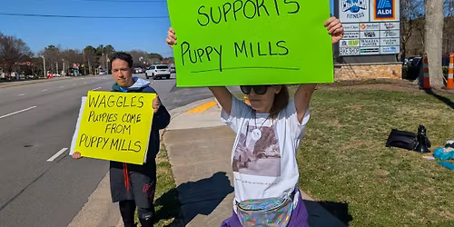 Protest Raleigh puppy mill store, Waggles