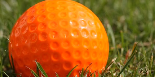 Annual IRWA Chapter 16 Mini Golf Tournament