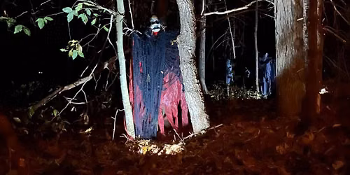 Night time Haunted Woods Walk