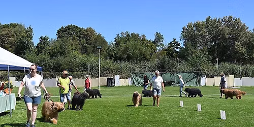 LG S\u00fcd Schau 2026