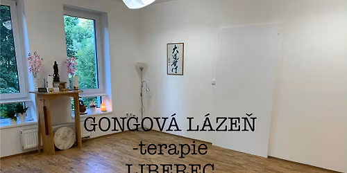 GONGOV\u00c1 L\u00c1ZE\u0147 - terapie- Liberec