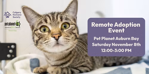 Remote Adoption Event- Pet Planet Auburn Bay
