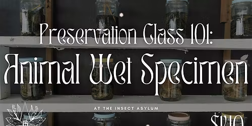 Wet Specimen Workshop