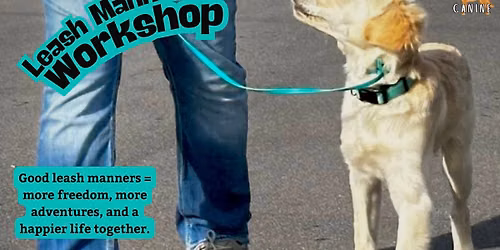 Leash Manners Workshop