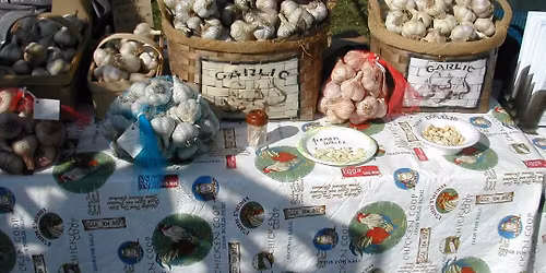 Connecticut Garlic & Harvest Festival