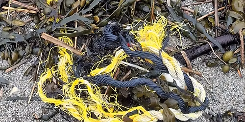 Porthcurnick Beach Clean