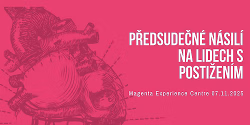 P\u0159edsude\u010dn\u00e9 n\u00e1sil\u00ed na lidech s posti\u017een\u00edm