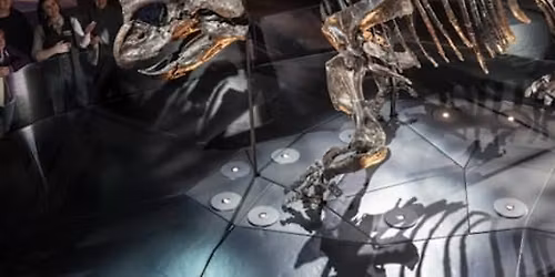 Melbourne Museum: Home of Dinosaurs Guided Tour