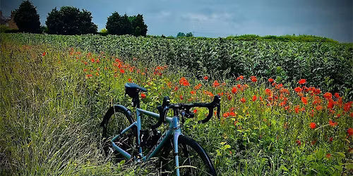 AYUP Bike Ride from Electric Daisy to World Peace Cafe (Tara)