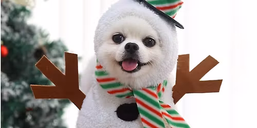 Adoption Event and DOG FOOD DRIVE at Pet Adventure!