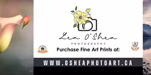 Maple Ridge Artist Studio Tour 2026