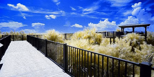 FIELD TRIP:  Pelican Island National Wildlife Refuge Tram Tour
