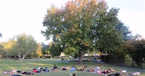 Whakatane Community Yoga Opening session!
