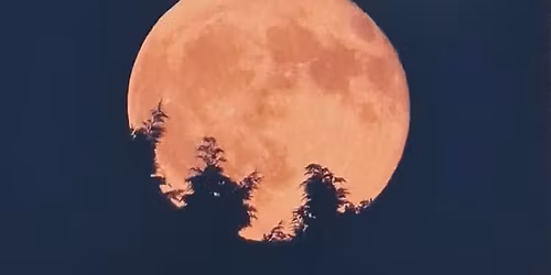 vernissage de l'expo" Silhouettes de Lune" + Souper d'Automne