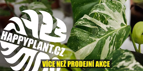 Mat\u011bj z HAPPYPLANT\ud83d\udd25 Exotick\u00e9 pokojovky \ud83c\udf3f PARDUBICE