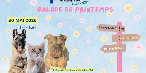 Balade de printemps - Croix Bleue de Belgique