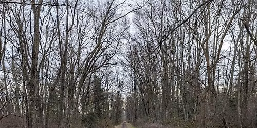 Winter Thaw Out 5k Series