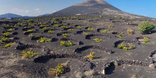 Emporium Wine Dinner: Volcanic Wines