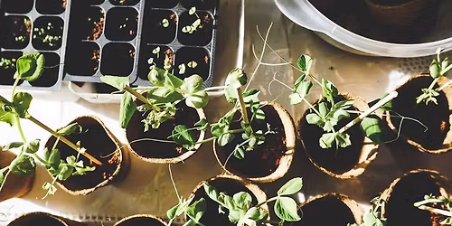 Master Gardener Library Talk
