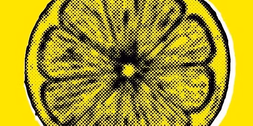 The Roots & Shoots of The Stone Roses