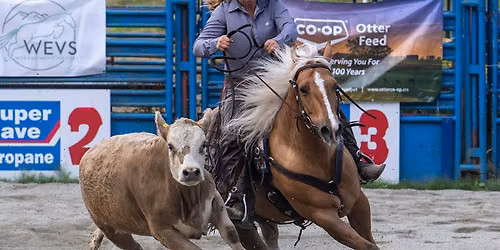 CCRCHA Under The Sun Cow Horse Show