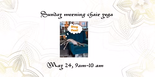 Sunday morning chair yoga with the cats