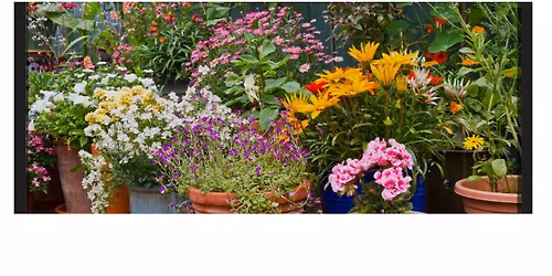 ANNUAL PLANT SALE!