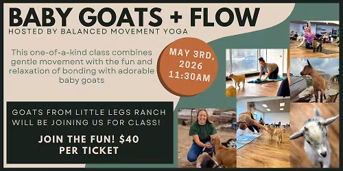 Baby Goats + Flow