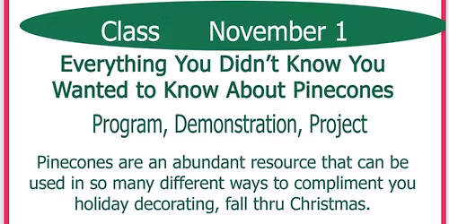 Pine cone processing and craft class