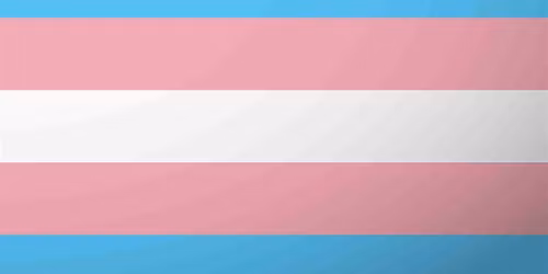 Trans Voice Workshop (January)