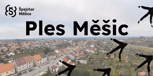Ples M\u011b\u0161ic