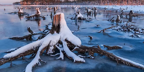 Forces of Nature