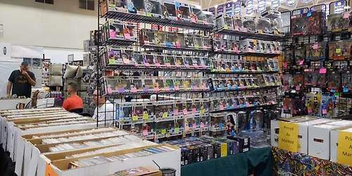 Tallahassee comic book and toy expo.