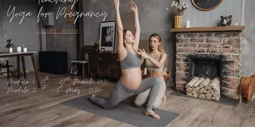 Teaching Yoga for Pregnancy - learn to safely share the joys of yoga for pregnancy