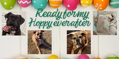 Meet & Greet at Unleashed - Stonehenge