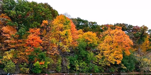 Fall Colors Guided Kayak Tour! (Batavia to Aurora $99\/person)