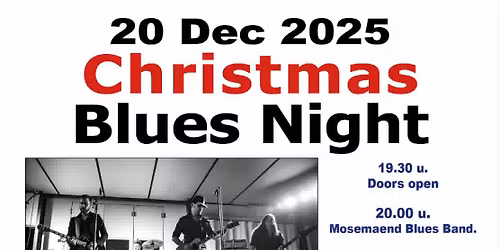 The Blowfield Kings Live @ CHRISTMAS BLUES NIGHT