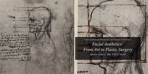 Facial Aesthetics: from Art to Plastic Surgery Part 2
