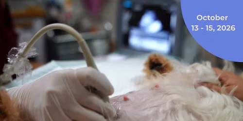 Veterinary Abdominal Ultrasound Training - October 13-15, 2026 (19.5 CE)