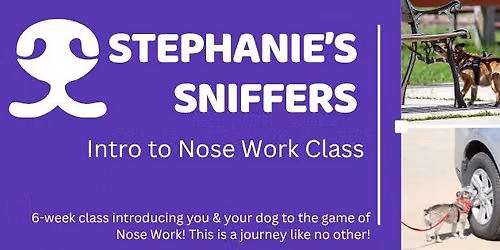 Intro to Nose Work Class