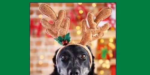 FREE PET PHOTO DAY with SANTA!