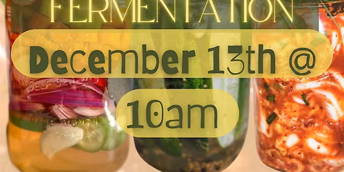 Intro to Lacto-fermentation