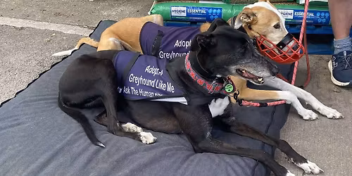 Awareness event at Jollye's Bolton