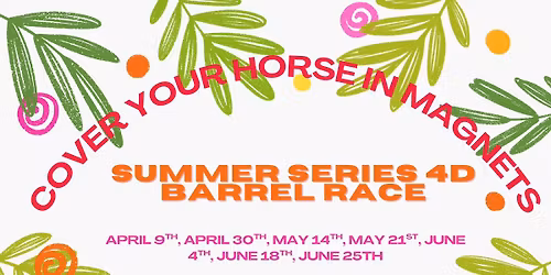 Cover your Horse in Magnets Series