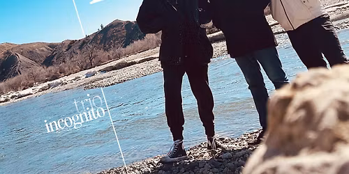 David Bixler \u2014 Trio Incognito