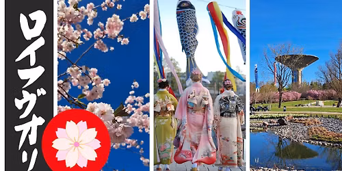 Roihuvuoren hanami-juhla 2026
