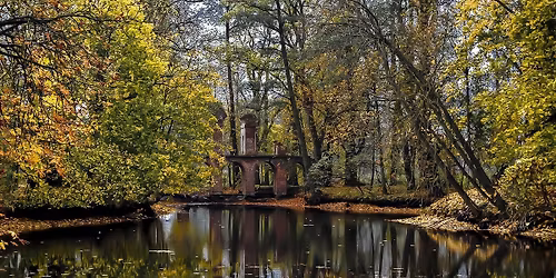 ARKADIA - NIEBOR\u00d3W