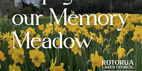 Memory Meadow