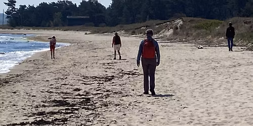 CONVENIUM: V\u00e5rvandring